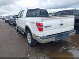 FORD F-150 FX4/HARLEY-DAVIDSON/KING RANCH/LARIAT/PLATINUM/XL/XLT 1FTFW1EV8AKB05720 photo
