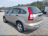 HONDA CR-V LX JHLRE38317C070143 снимка