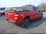 FORD F-150 XL 1FTEX1EP8PKD56823 photo