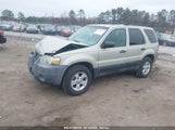 FORD ESCAPE XLT 1FMYU93135DA07844 снимка