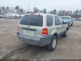 FORD ESCAPE XLT 1FMYU93135DA07844 снимка