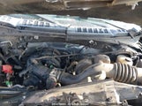 FORD F-150 XLT 1FTEX1E85HFA14667 снимка