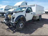 FORD F-450 CHASSIS XL 1FDUF4GY7HEC34892 fotografie