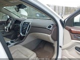 CADILLAC SRX PREMIUM COLLECTION 3GYFNDE31GS508156 снимка