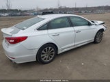HYUNDAI SONATA SPORT 5NPE34AF8FH057887 photo