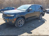 JEEP GRAND CHEROKEE 4XE TRAILHAWK 1C4RJYC69P8798805 снимка