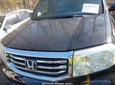 HONDA PILOT EX-L 5FNYF3H56CB037143 снимка