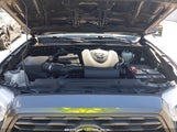 TOYOTA TACOMA TRD OFF ROAD 3TMCZ5AN1NM458998 fotografie