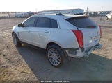CADILLAC SRX PREMIUM COLLECTION 3GYFNFEY5AS626208 снимка