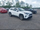 TOYOTA RAV4 XLE 2T3W1RFVXRW303794 снимка