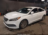 HYUNDAI SONATA SPORT 5NPE34AF2HH481598 снимка