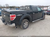 FORD F-150 XLT 1FTFW1EF4BFC28952 снимка