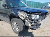 SUBARU FORESTER (NATL) X L.L. BEAN ED JF1SG67618H727460 photo