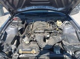 FORD MUSTANG GT 1ZVFT82H265205976 снимка