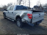 FORD F-150 XL/XLT 1FTEW1E8XAFB54674 photo