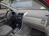 TOYOTA COROLLA LE 2T1BU4EE2AC328875 photo