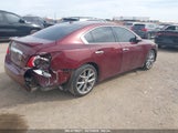 NISSAN MAXIMA 3.5 SV 1N4AA5AP8BC847947 снимка