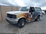 Ford Bronco U100 1FMEU15H2PLA62454 снимка