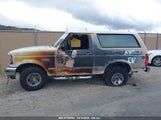 Ford Bronco U100 1FMEU15H2PLA62454 снимка