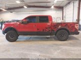 FORD F-150 FX4/KING RANCH/LARIAT/PLATINUM/XL/XLT 1FTPW14V69KC42270 fotografie