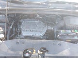 HONDA ODYSSEY EX-L 5FNRL38766B071196 снимка