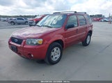 FORD ESCAPE LIMITED 1FMYU94127KB58591 снимка