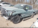 TOYOTA TUNDRA PLATINUM 4WD 5TFNA5DB2RX209174 fotografie