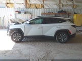 HYUNDAI TUCSON HYBRID BLUE KM8JBCA1XNU029511 fotografie