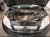 Honda Cr-V Ex JHLRE48537C082365 снимка