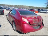 NISSAN MAXIMA 3.5 SL 1N4BA41E86C863116 снимка
