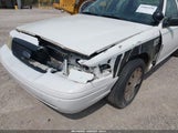 FORD CROWN VICTORIA POLICE/POLICE INTERCEPTOR 2FAHP71V99X117825 photo