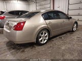 NISSAN MAXIMA 3.5 SE 1N4BA41E84C929466 снимка