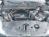 HONDA CR-V LX 5J6RE4H35AL041457 fotografie