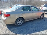 TOYOTA COROLLA LE 1NXBU40E99Z088368 снимка