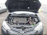 TOYOTA COROLLA LE PLUS 2T1BURHE3GC670398 снимка