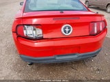 FORD MUSTANG V6 PREMIUM 1ZVBP8AM4B5122982 снимка