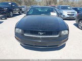 FORD MUSTANG V6 DELUXE/V6 PREMIUM 1ZVHT80N285191002 fotografie