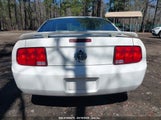 FORD MUSTANG V6 1ZVFT80N865154279 снимка