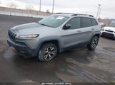 JEEP CHEROKEE TRAILHAWK 1C4PJMBS3EW256042 снимка