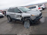 JEEP CHEROKEE TRAILHAWK 1C4PJMBS3EW256042 снимка