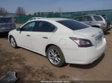 NISSAN MAXIMA 3.5 S/3.5 SV 1N4AA5AP7EC488272 снимка