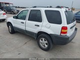 FORD ESCAPE XLT 1FMYU03183KE17382 снимка