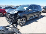 HYUNDAI PALISADE SEL KM8R34HE7LU091654 снимка