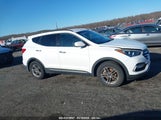 HYUNDAI SANTA FE SPORT 2.4L 5NMZU3LB7HH003435 photo