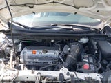 HONDA CR-V LX 5J6RM3H33EL008458 снимка