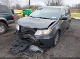 HONDA ODYSSEY EX-L 5FNRL5H64BB051459 снимка