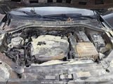VOLKSWAGEN TIGUAN 2.0T SE/2.0T SE R-LINE BLACK/2.0T SEL 3VV2B7AX5MM126415 photo