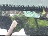 HONDA CIVIC EX 2HGES26743H584775 снимка