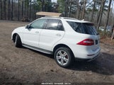 MERCEDES-BENZ ML 350 4MATIC 4JGDA5HB2FA589214 снимка