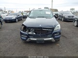 MERCEDES-BENZ ML 350 4MATIC 4JGDA5HB5EA369760 снимка